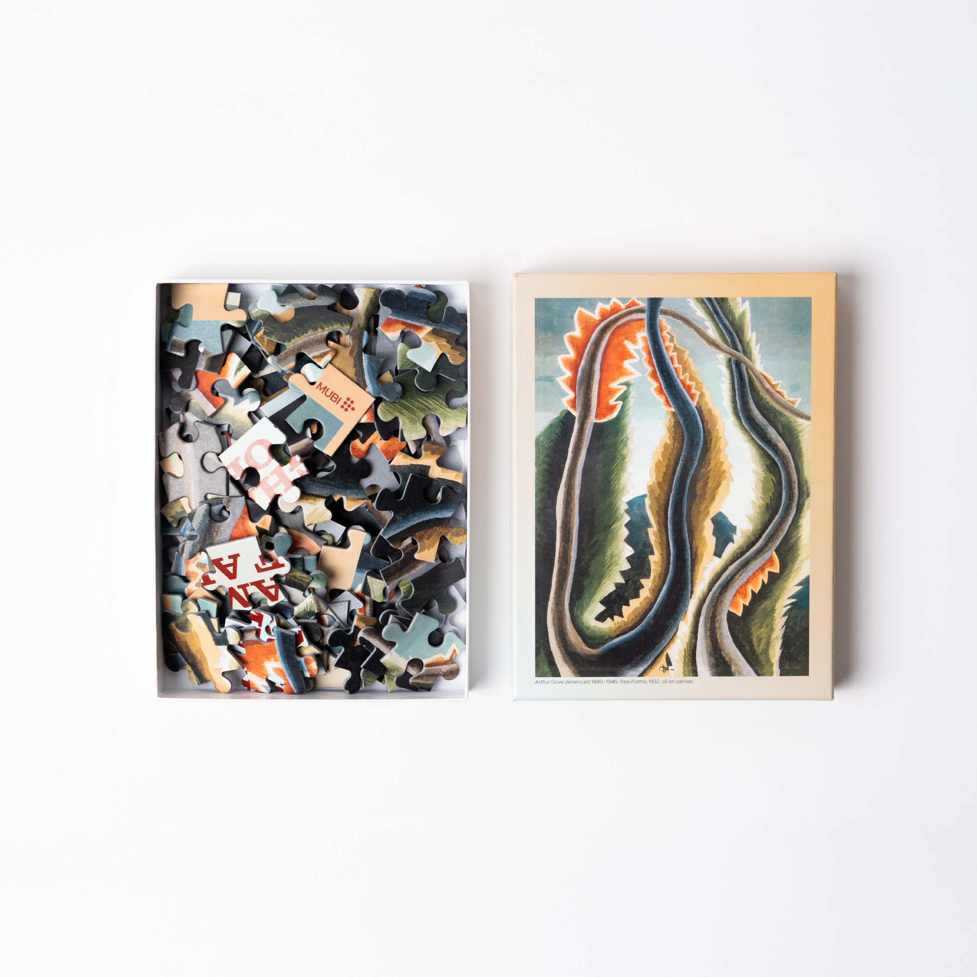 THE MASTERMIND jigsaw 