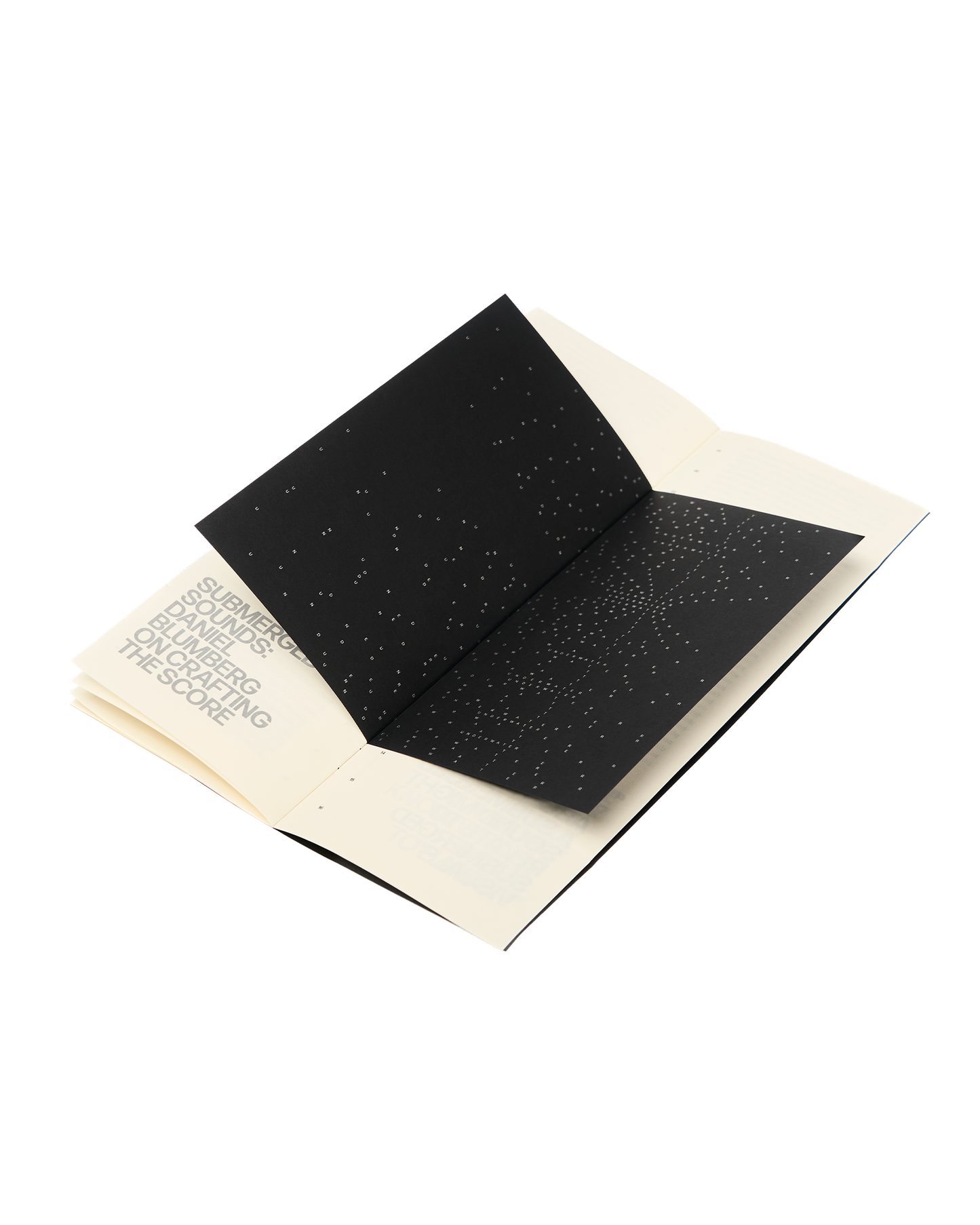 POMPEI: BELOW THE CLOUDS. PRINTED COMPANION