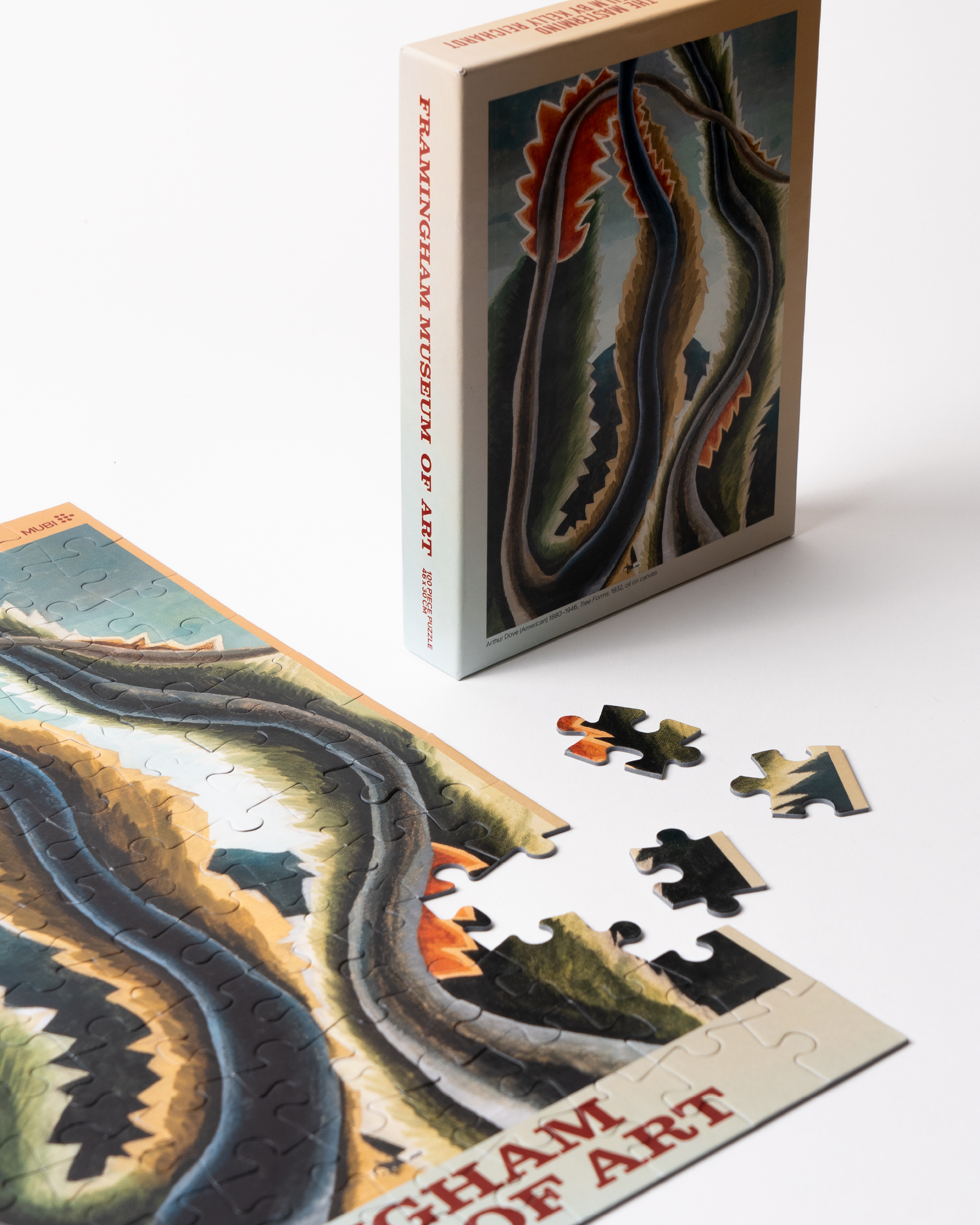 THE MASTERMIND PUZZLE